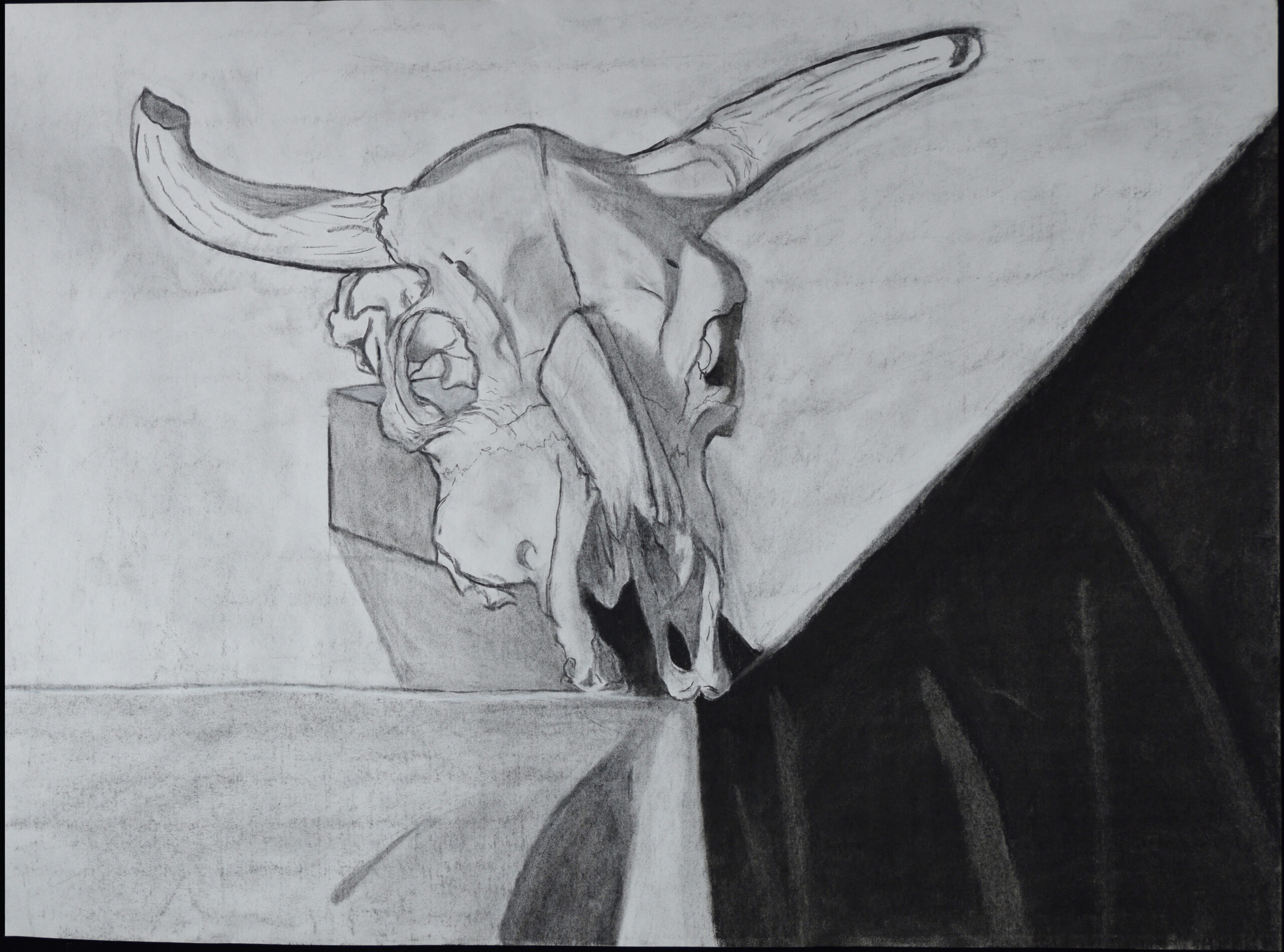 Skull